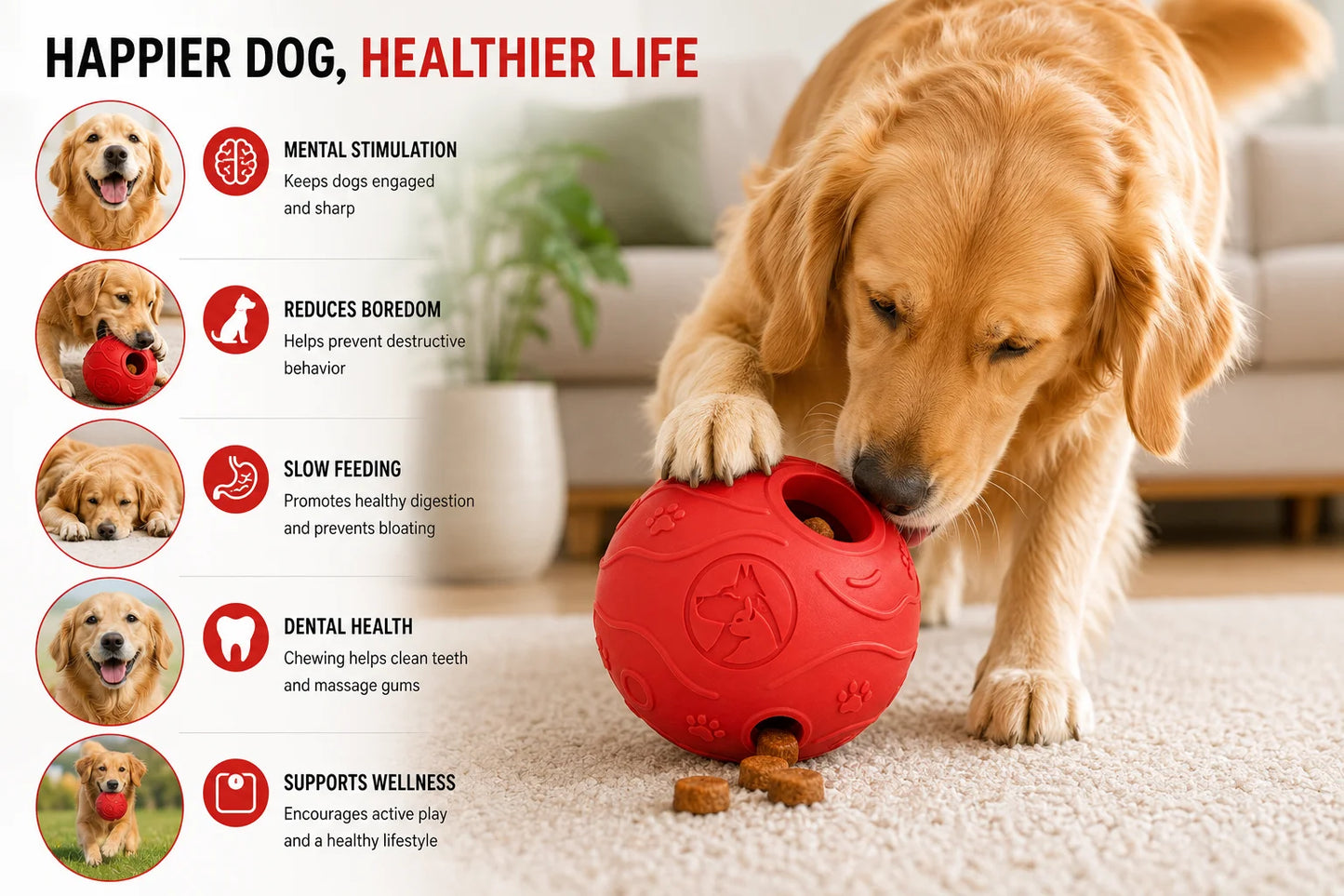 Golden retriever playing with interactive red rubber puzzle dog toy on carpet